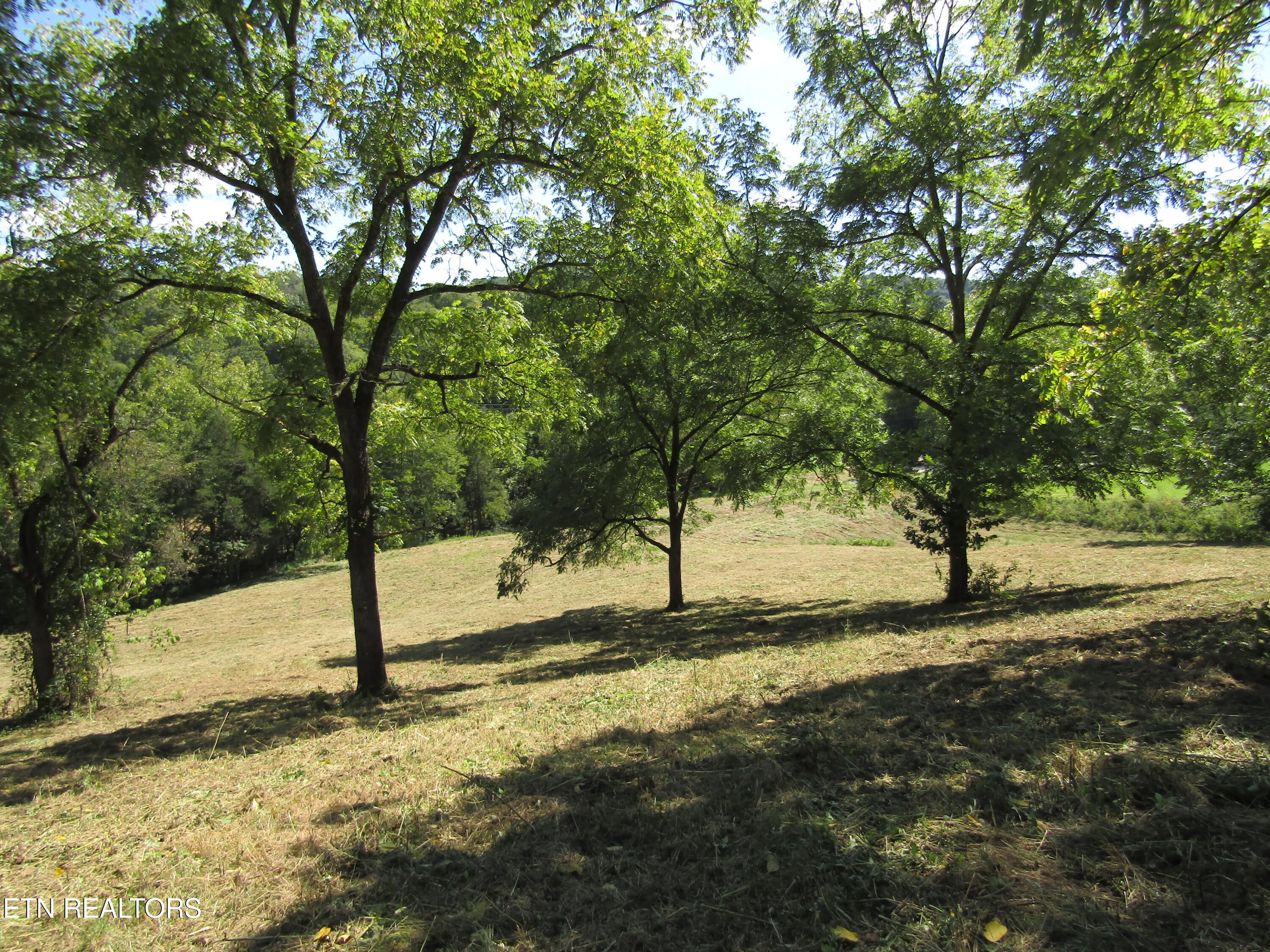 14-ac Hartsville Road Lafayette, TN 37083 - Photo 13 of 37 IMG_9492