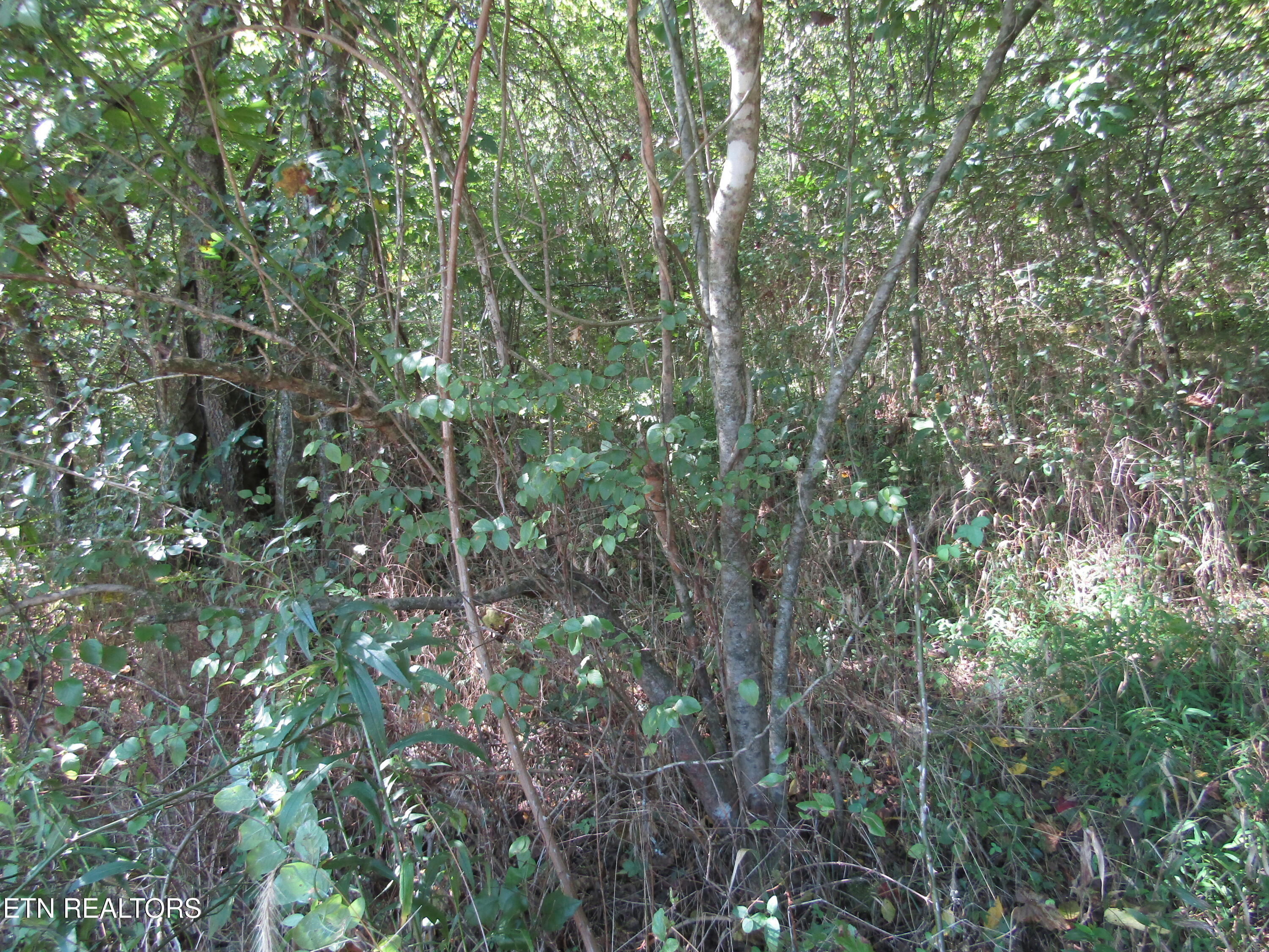 14-ac Hartsville Road Lafayette, TN 37083 - Photo 20 of 37 IMG_9499