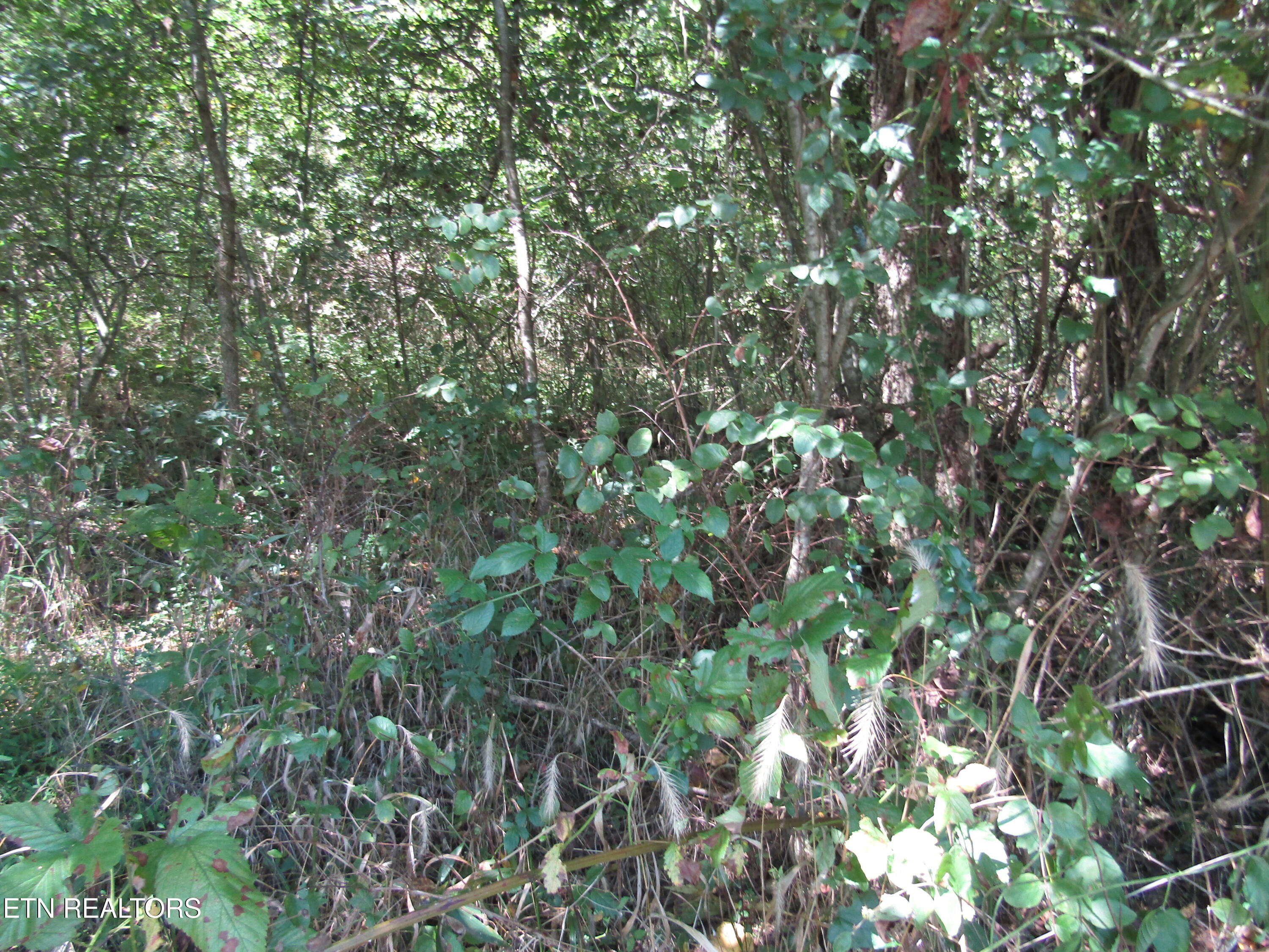 14-ac Hartsville Road Lafayette, TN 37083 - Photo 21 of 37 IMG_9500