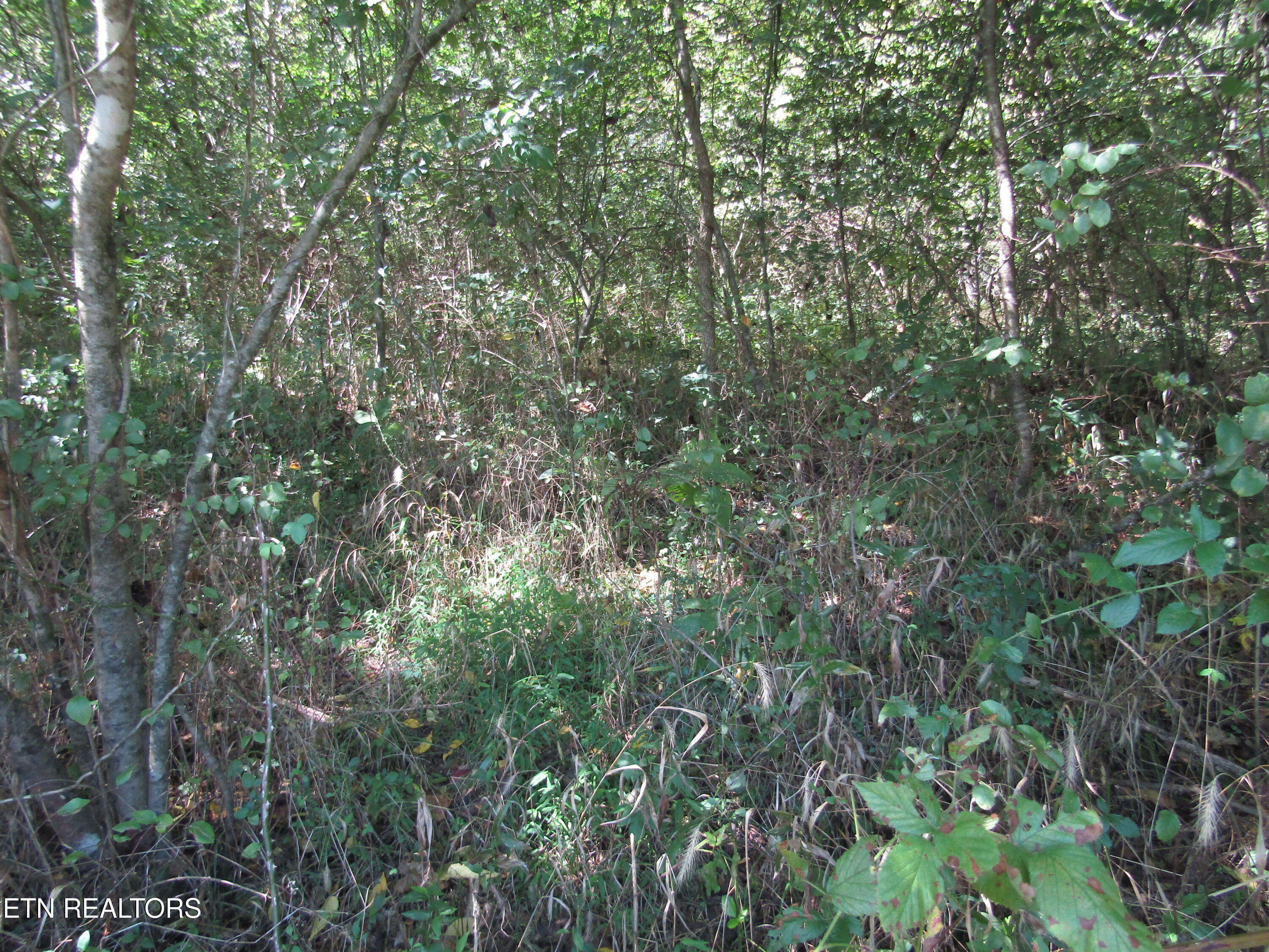 14-ac Hartsville Road Lafayette, TN 37083 - Photo 22 of 37 IMG_9501