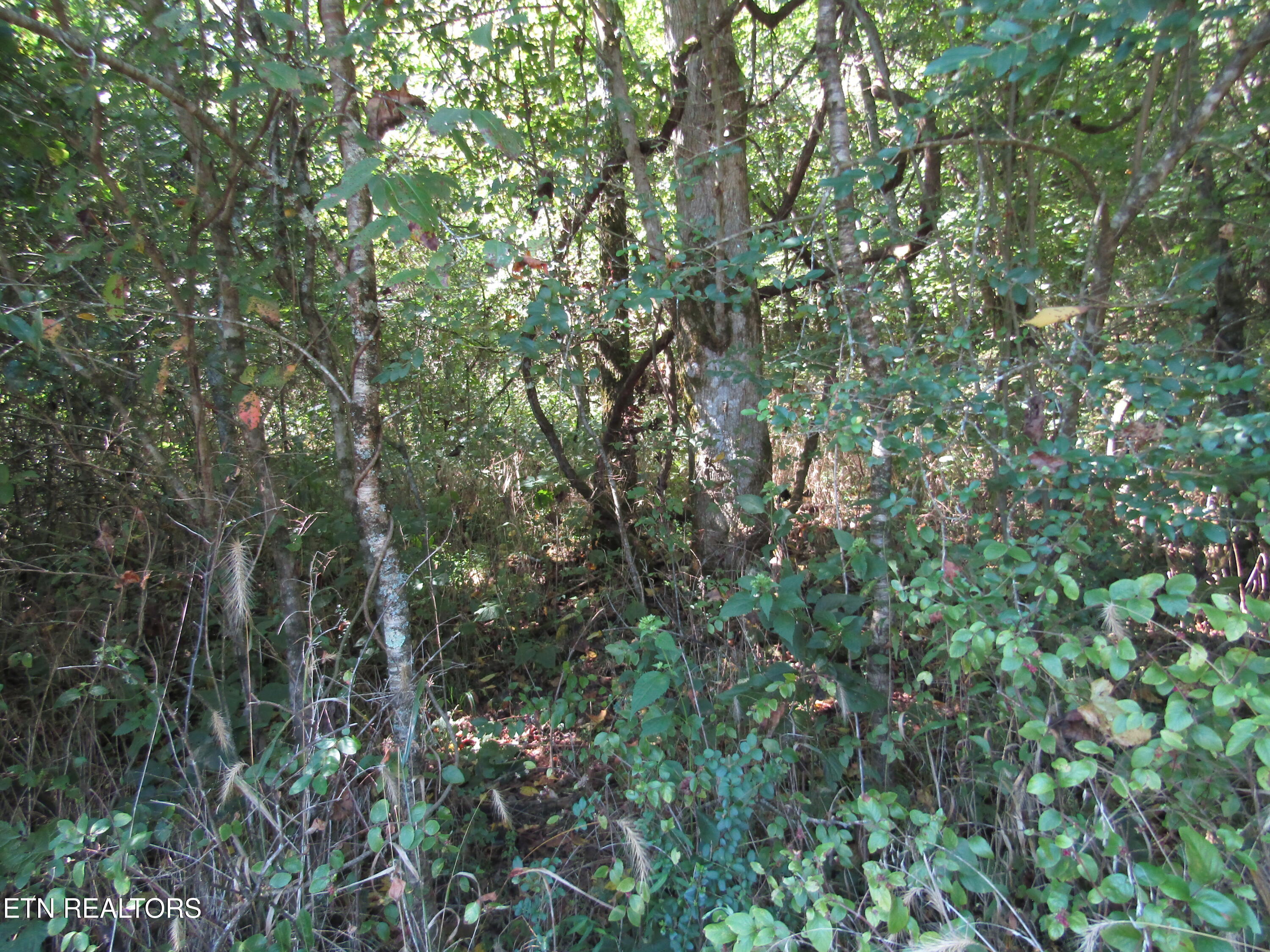 14-ac Hartsville Road Lafayette, TN 37083 - Photo 23 of 37 IMG_9502