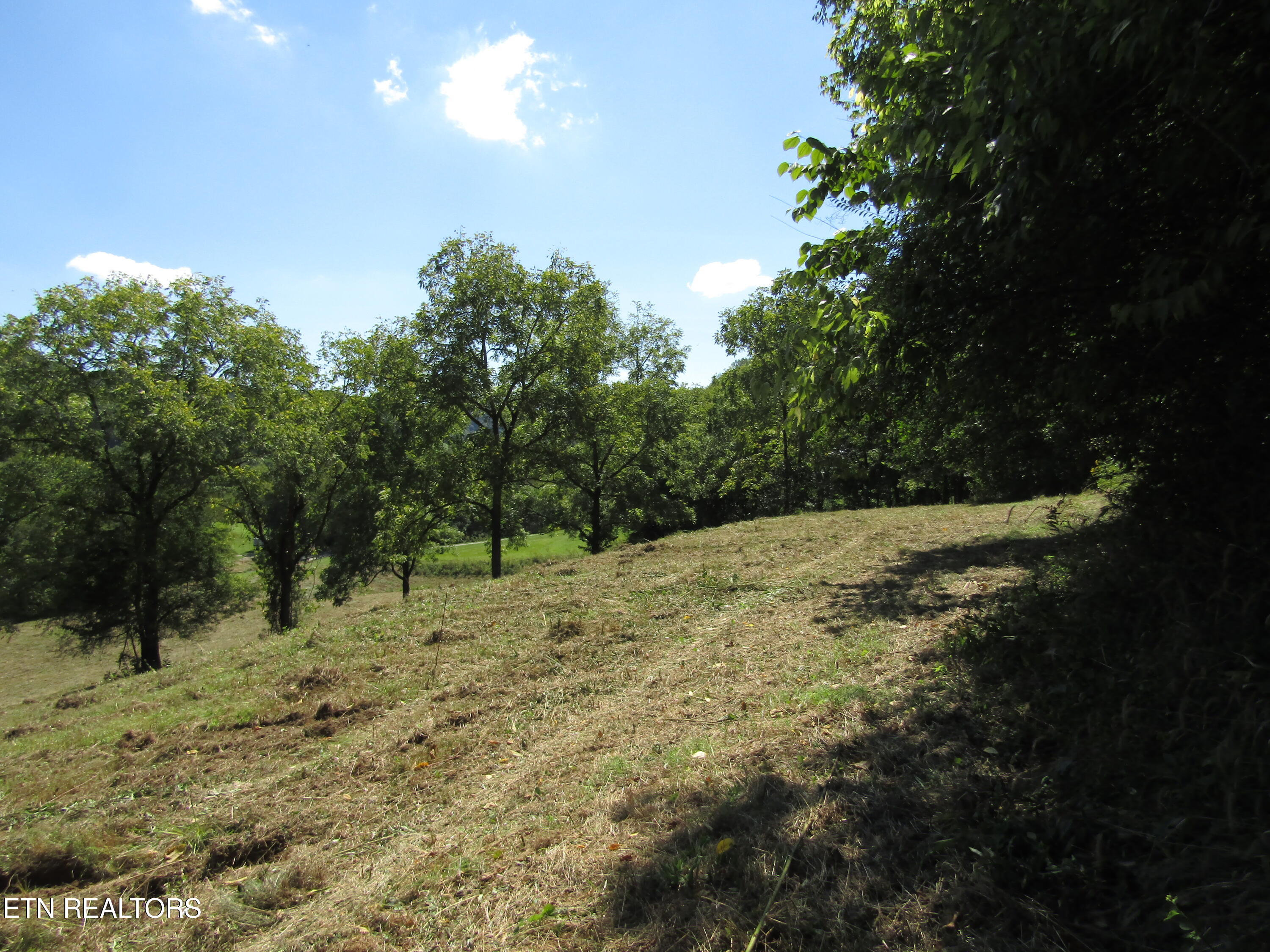 14-ac Hartsville Road Lafayette, TN 37083 - Photo 24 of 37 IMG_9503