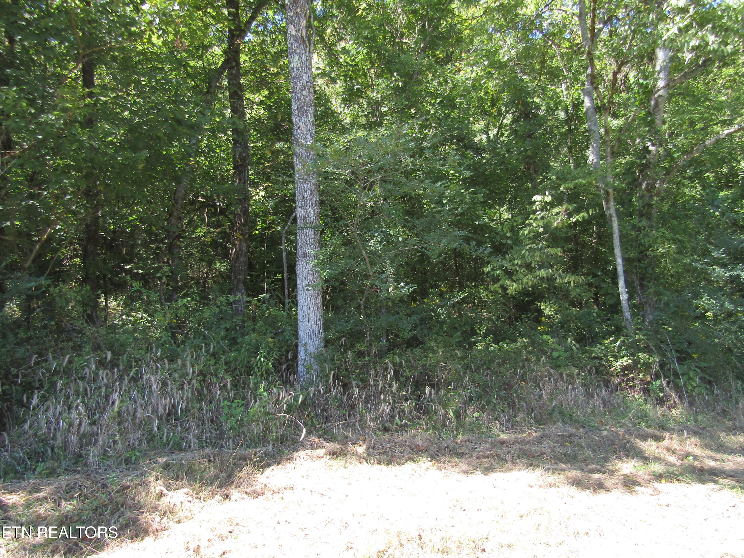 14-ac Hartsville Road Lafayette, TN 37083 - Photo 25 of 37 IMG_9504