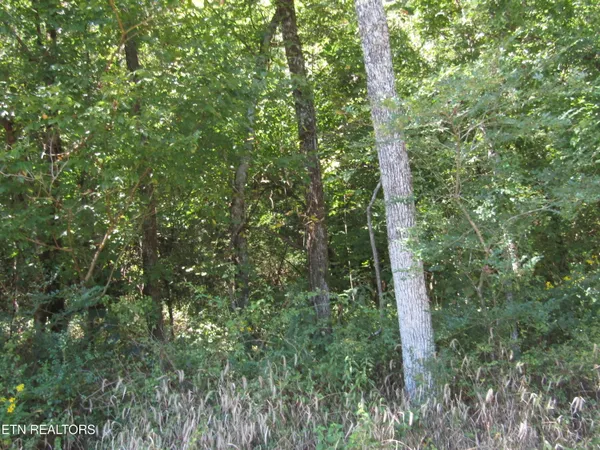 $149,900 | 14-ac Hartsville Road, Lafayette, TN 37083