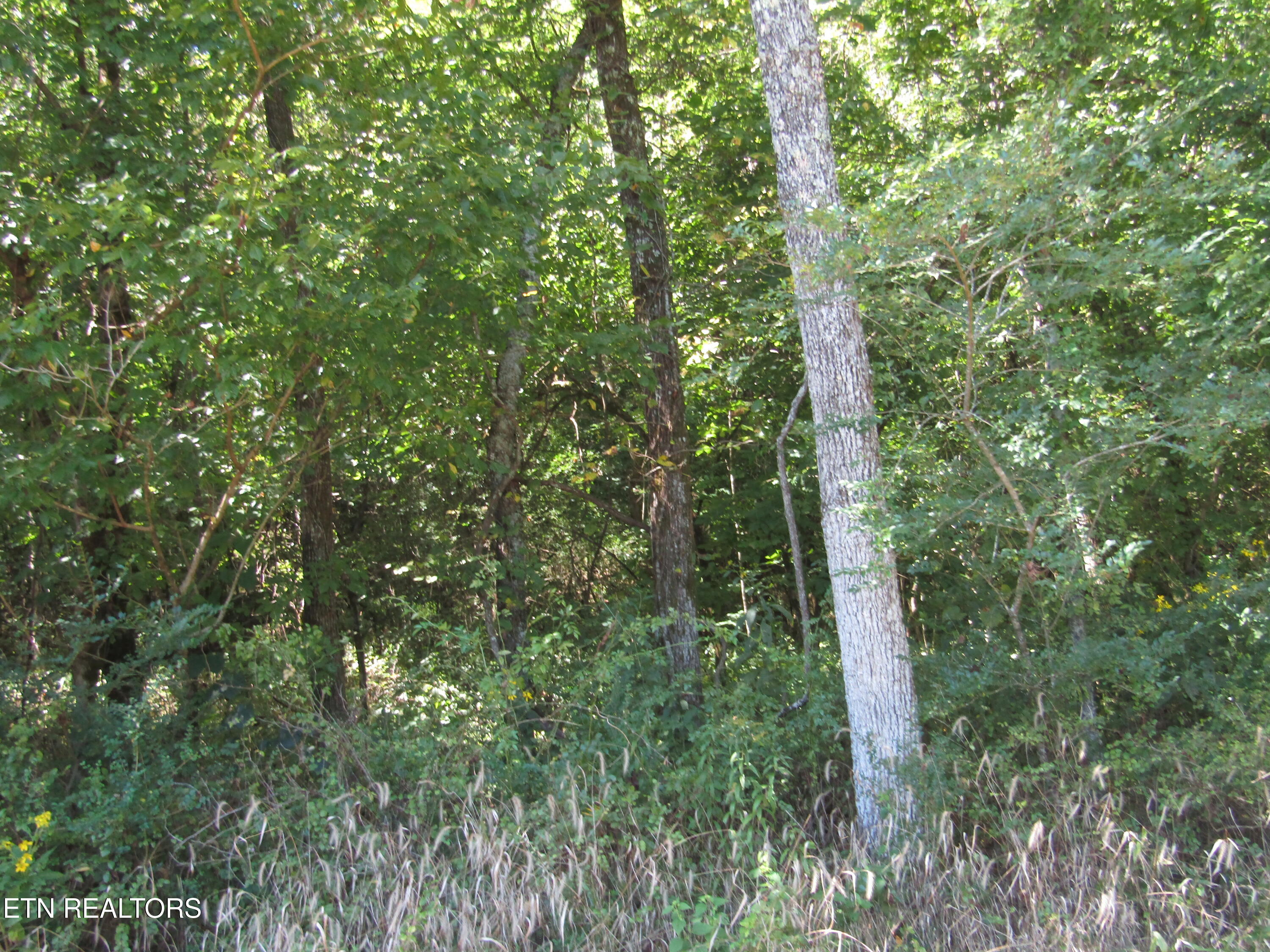 14-ac Hartsville Road Lafayette, TN 37083 - Photo 26 of 37 IMG_9505