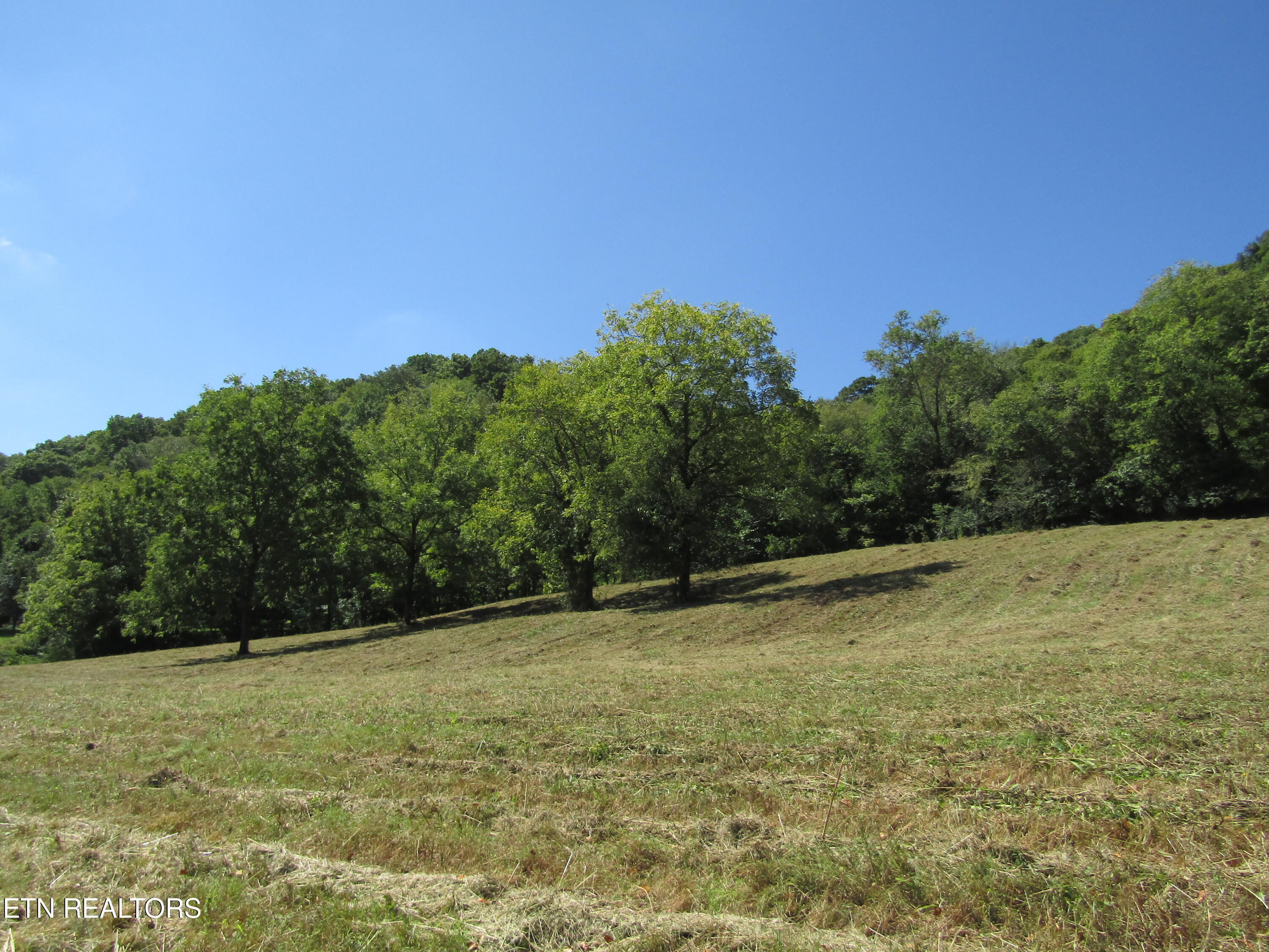 14-ac Hartsville Road Lafayette, TN 37083 - Photo 28 of 37 IMG_9507