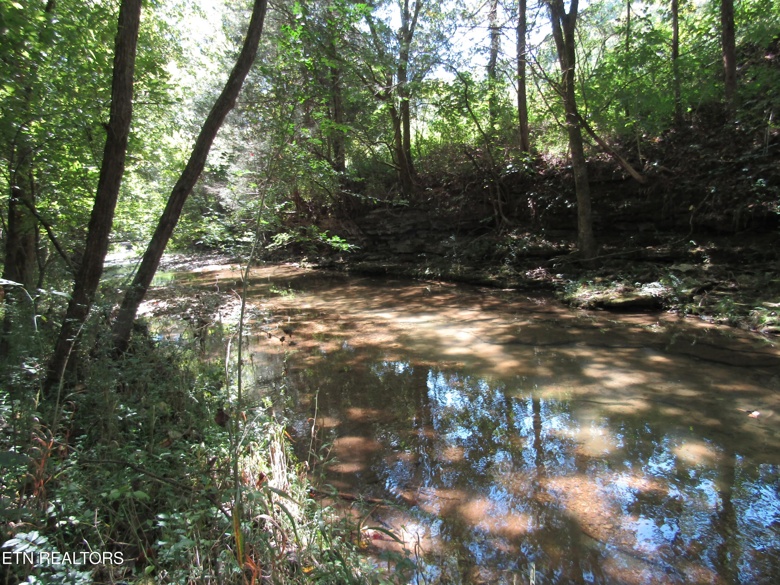 14-ac Hartsville Road Lafayette, TN 37083 - Photo 3 of 37 CREEK 1