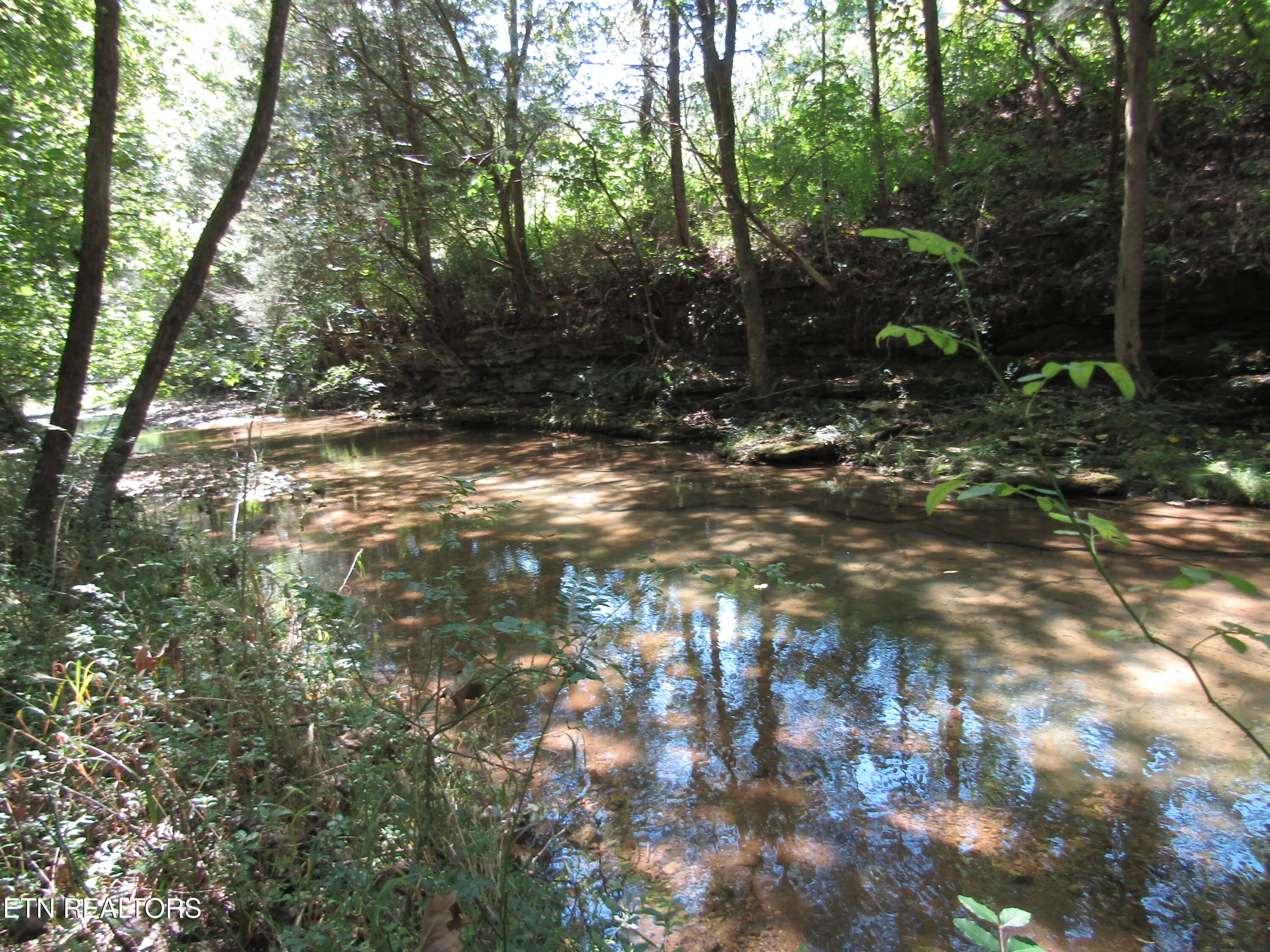 14-ac Hartsville Road Lafayette, TN 37083 - Photo 5 of 37 CREEK 3