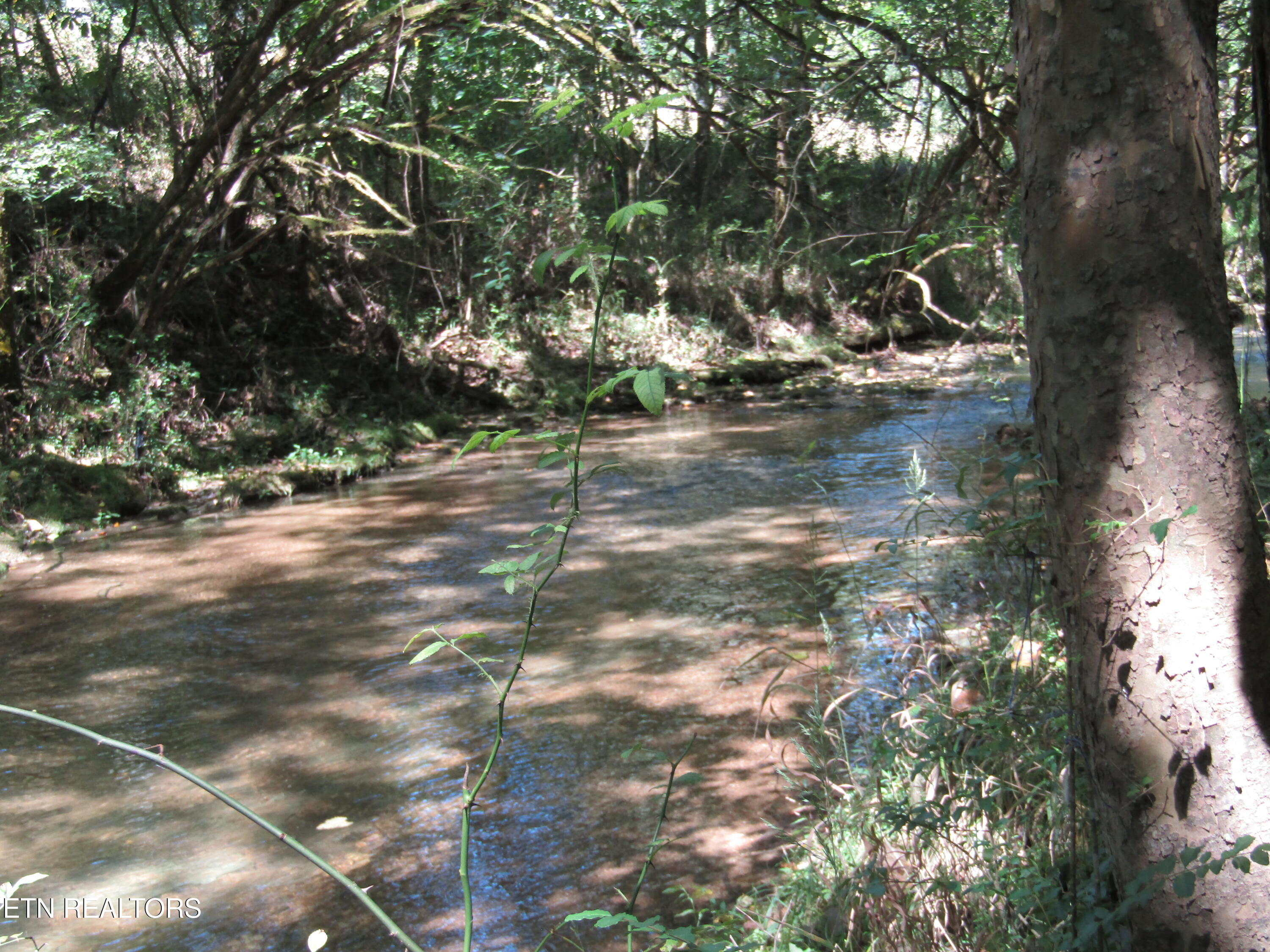 14-ac Hartsville Road Lafayette, TN 37083 - Photo 6 of 37 CREEK BEST 1