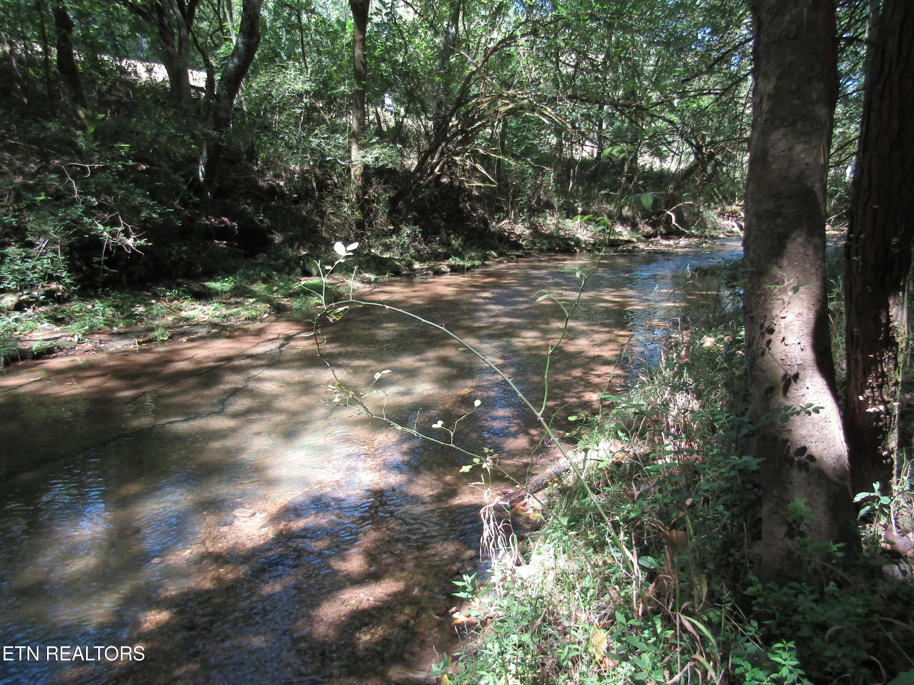 14-ac Hartsville Road Lafayette, TN 37083 - Photo 7 of 37 CREEK BEST 2