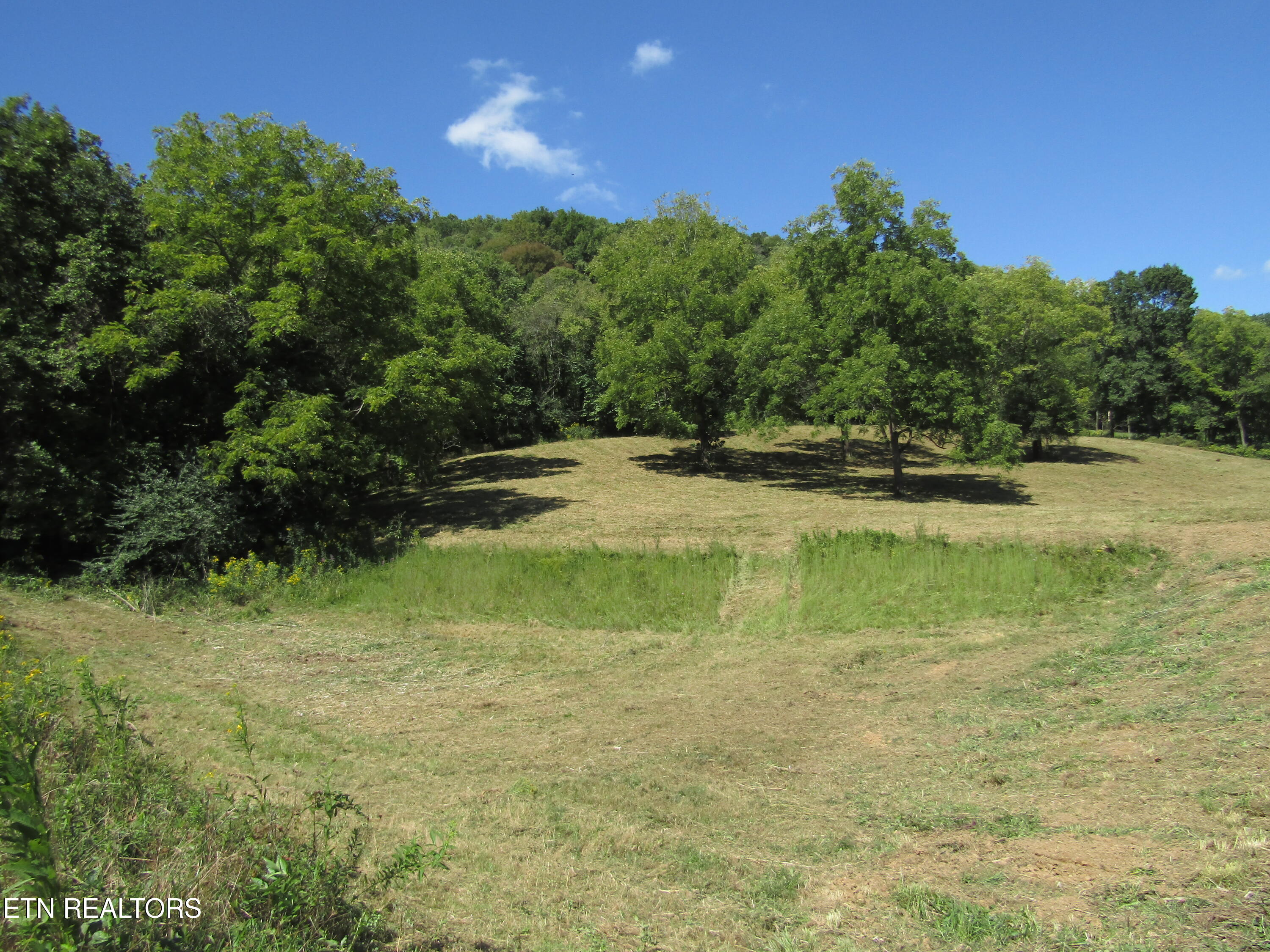 14-ac Hartsville Road Lafayette, TN 37083 - Photo 10 of 37 IMG_9488