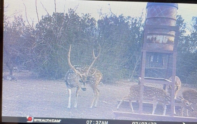 0 SD 45710 Rocksprings, TX 78880 - Photo 12 of 20