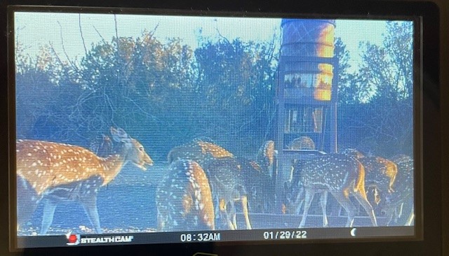 0 SD 45710 Rocksprings, TX 78880 - Photo 13 of 20