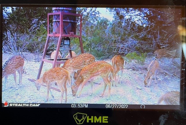 0 SD 45710 Rocksprings, TX 78880 - Photo 14 of 20