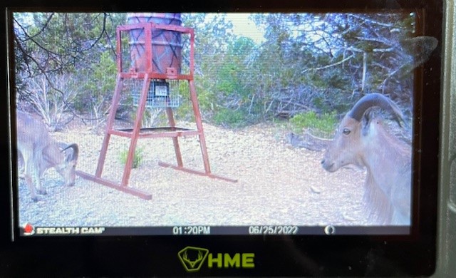 0 SD 45710 Rocksprings, TX 78880 - Photo 16 of 20