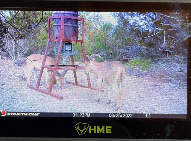 0 SD 45710 Rocksprings, TX 78880 - Photo 17 of 20