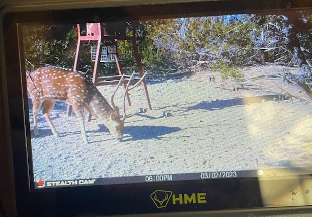 0 SD 45710 Rocksprings, TX 78880 - Photo 18 of 20