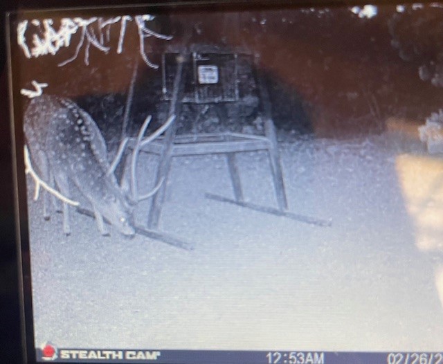 0 SD 45710 Rocksprings, TX 78880 - Photo 19 of 20