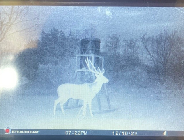 0 SD 45710 Rocksprings, TX 78880 - Photo 20 of 20