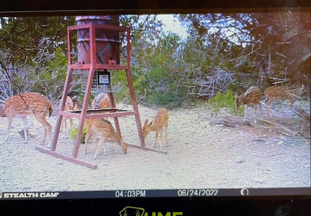 0 SD 45710 Rocksprings, TX 78880 - Photo 5 of 20
