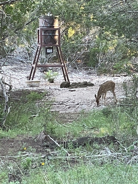 0 SD 45710 Rocksprings, TX 78880 - Photo 7 of 20