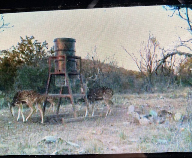 0 SD 45710 Rocksprings, TX 78880 - Photo 10 of 20