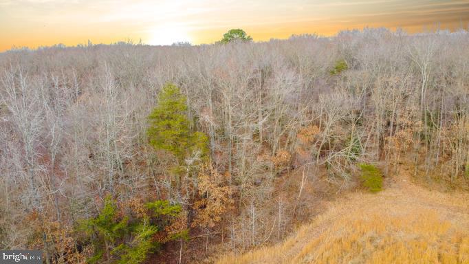 Goldsboro Road Goldsboro, MD 21636 - Photo 1 of 16