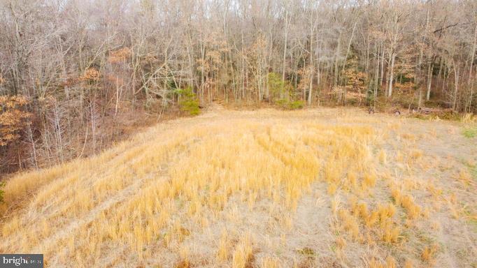 Goldsboro Road Goldsboro, MD 21636 - Photo 2 of 16