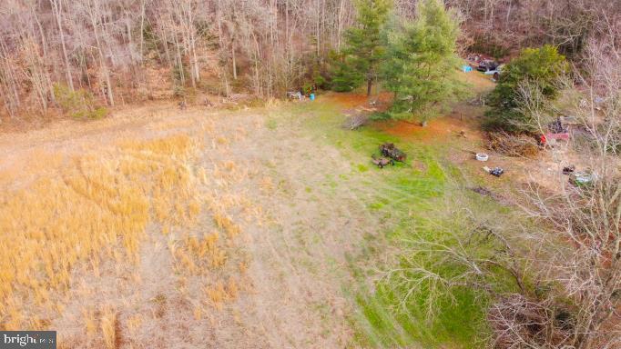 Goldsboro Road Goldsboro, MD 21636 - Photo 4 of 16