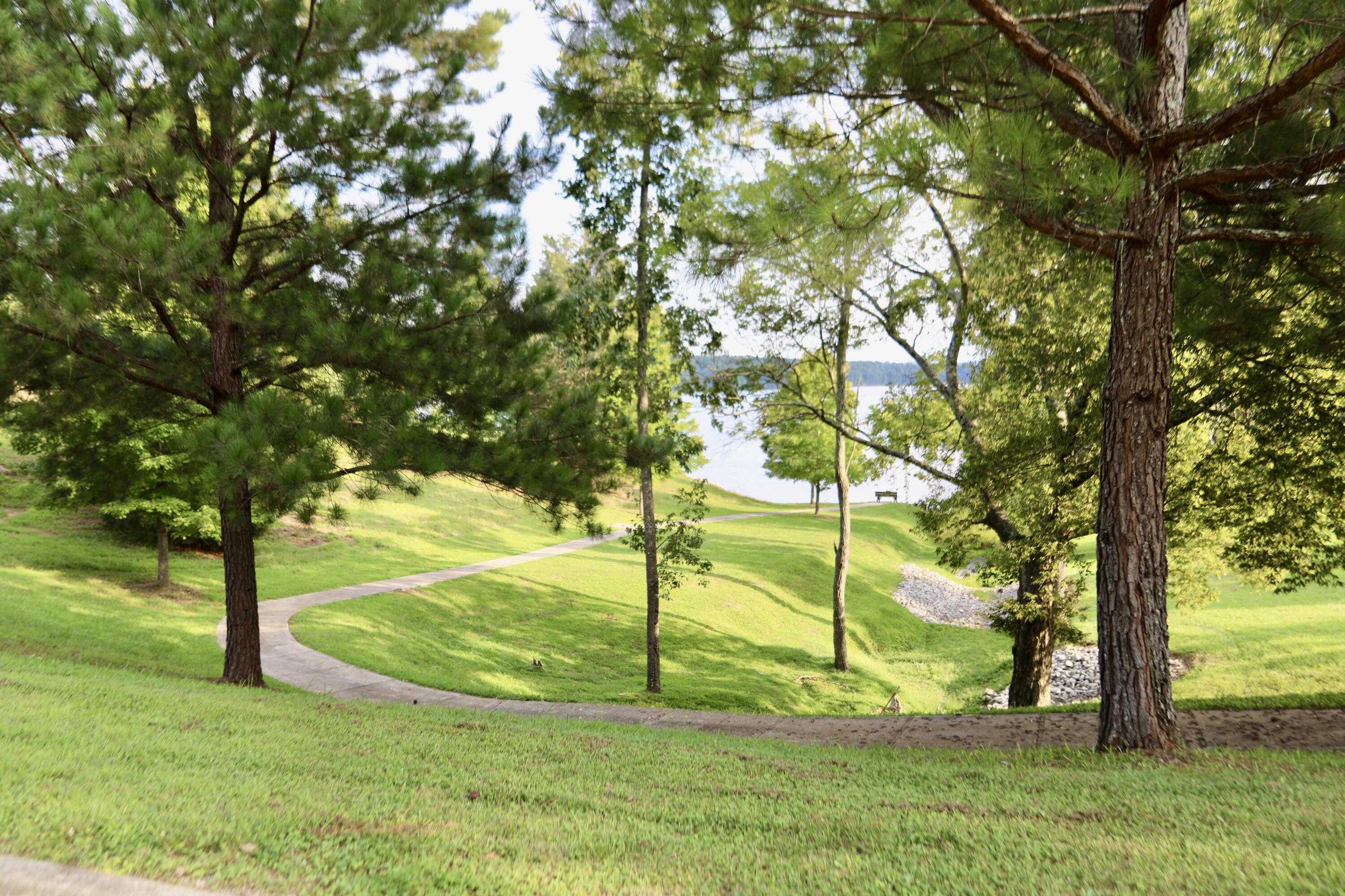 Meadow Lane Harriman, TN 37748 - Photo 5 of 10 6F2A0170