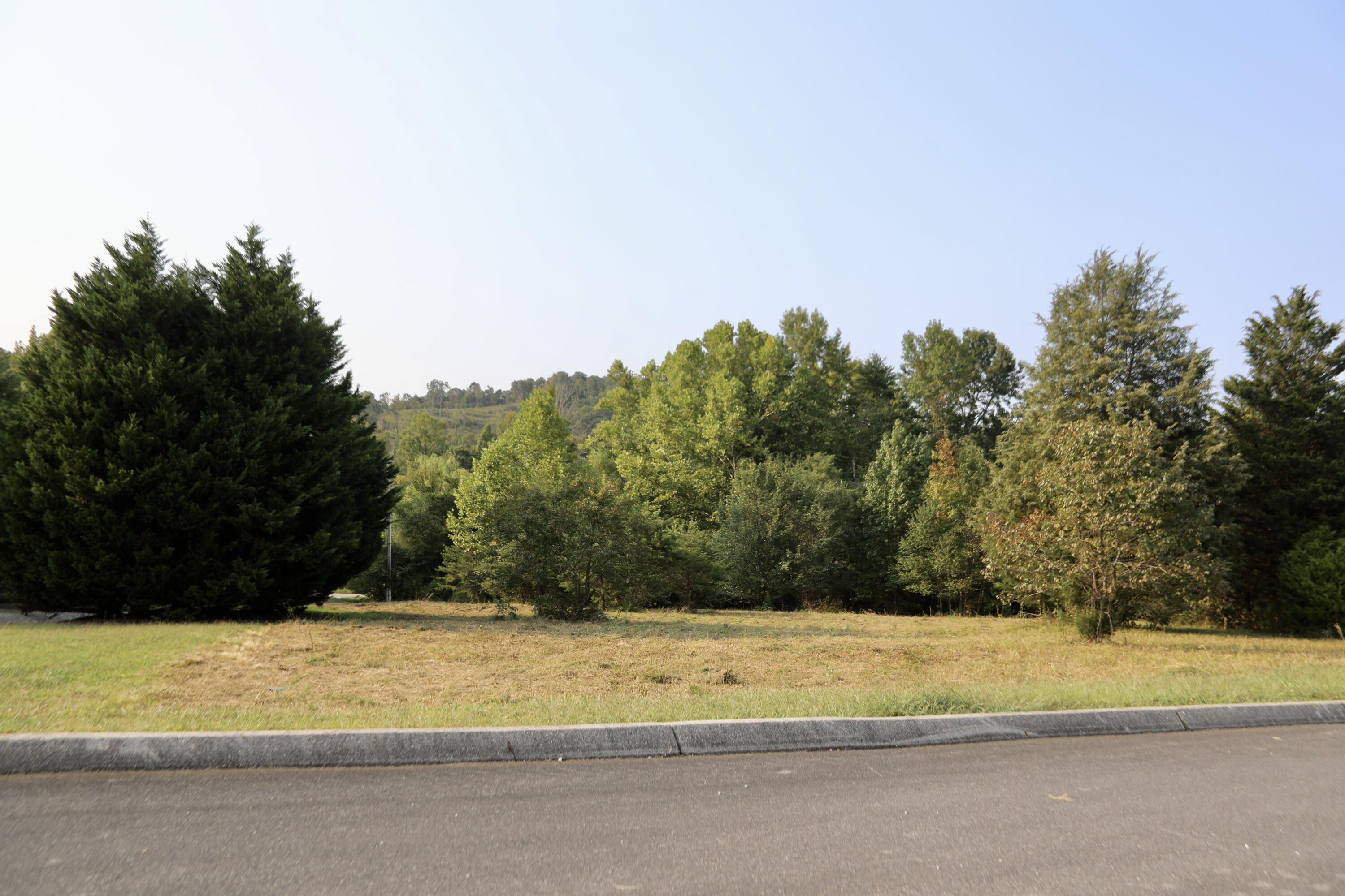 Meadow Lane Harriman, TN 37748 - Photo 8 of 10 6F2A0198