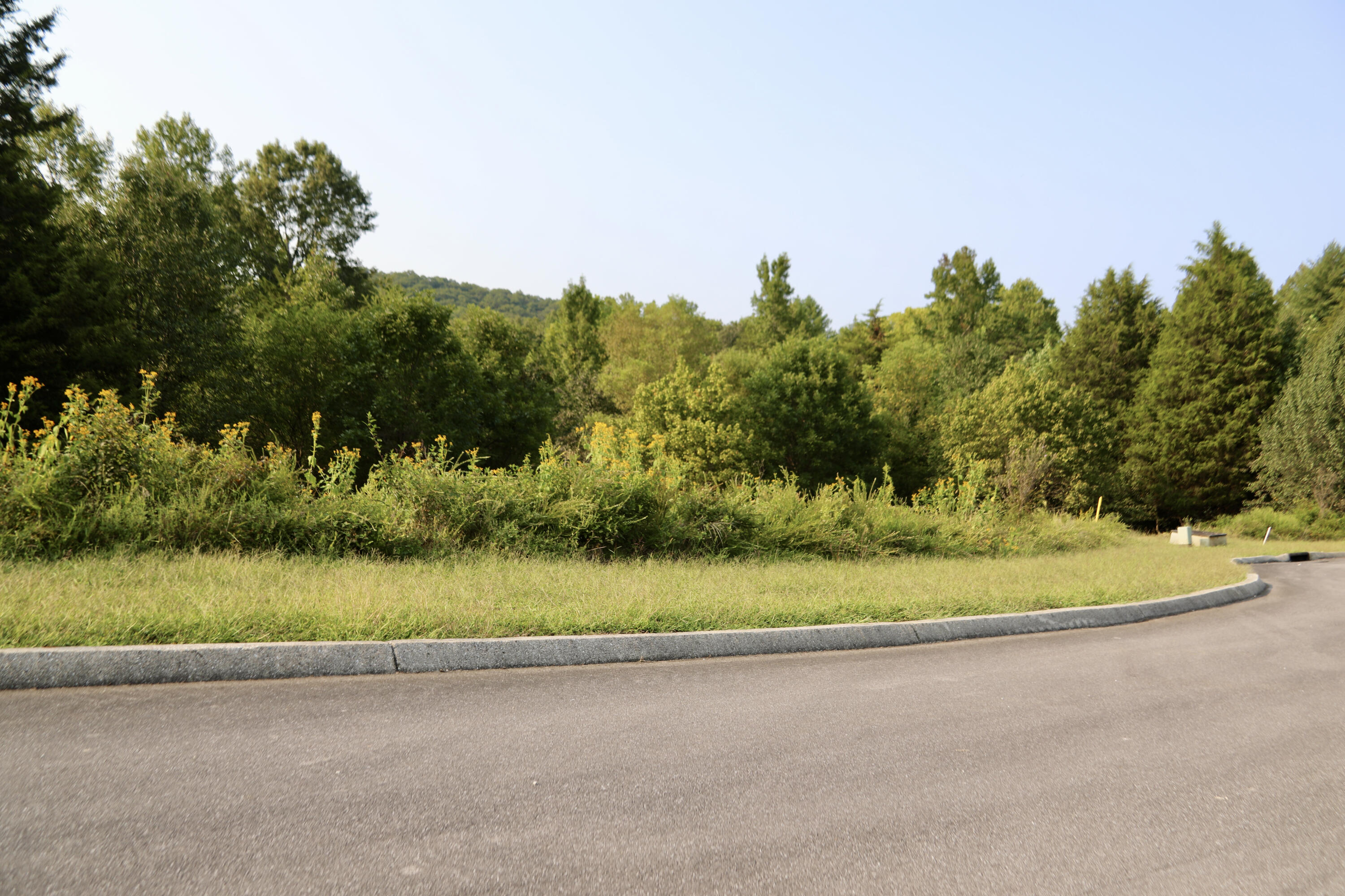 Meadow Lane Harriman, TN 37748 - Photo 9 of 10 6F2A0199