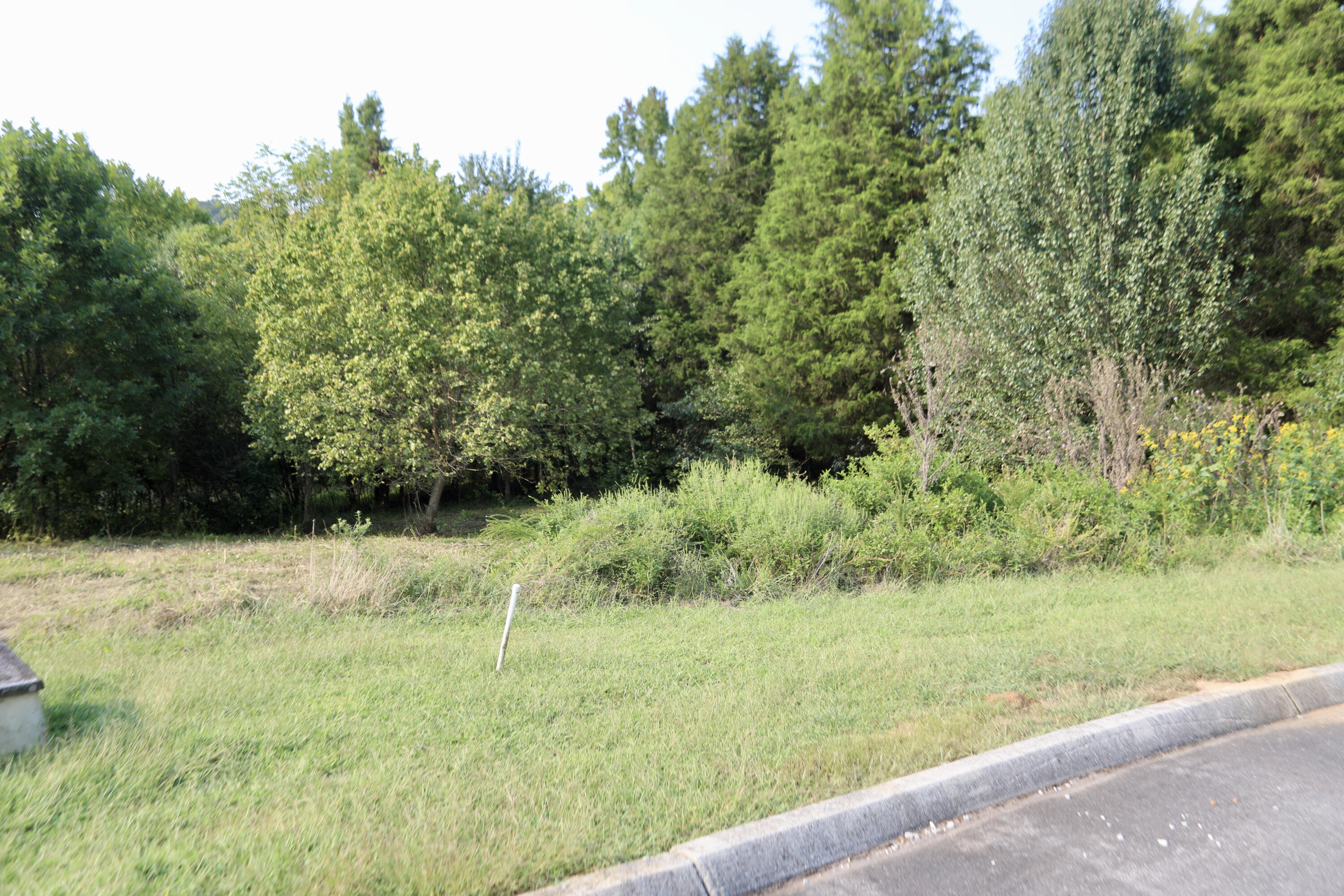 Meadow Lane Harriman, TN 37748 - Photo 10 of 10 6F2A0200