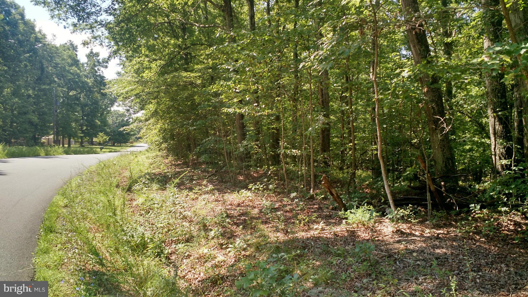 0 Porter Road Orange, VA 22960 - Photo 1 of 2 Exterior (General)