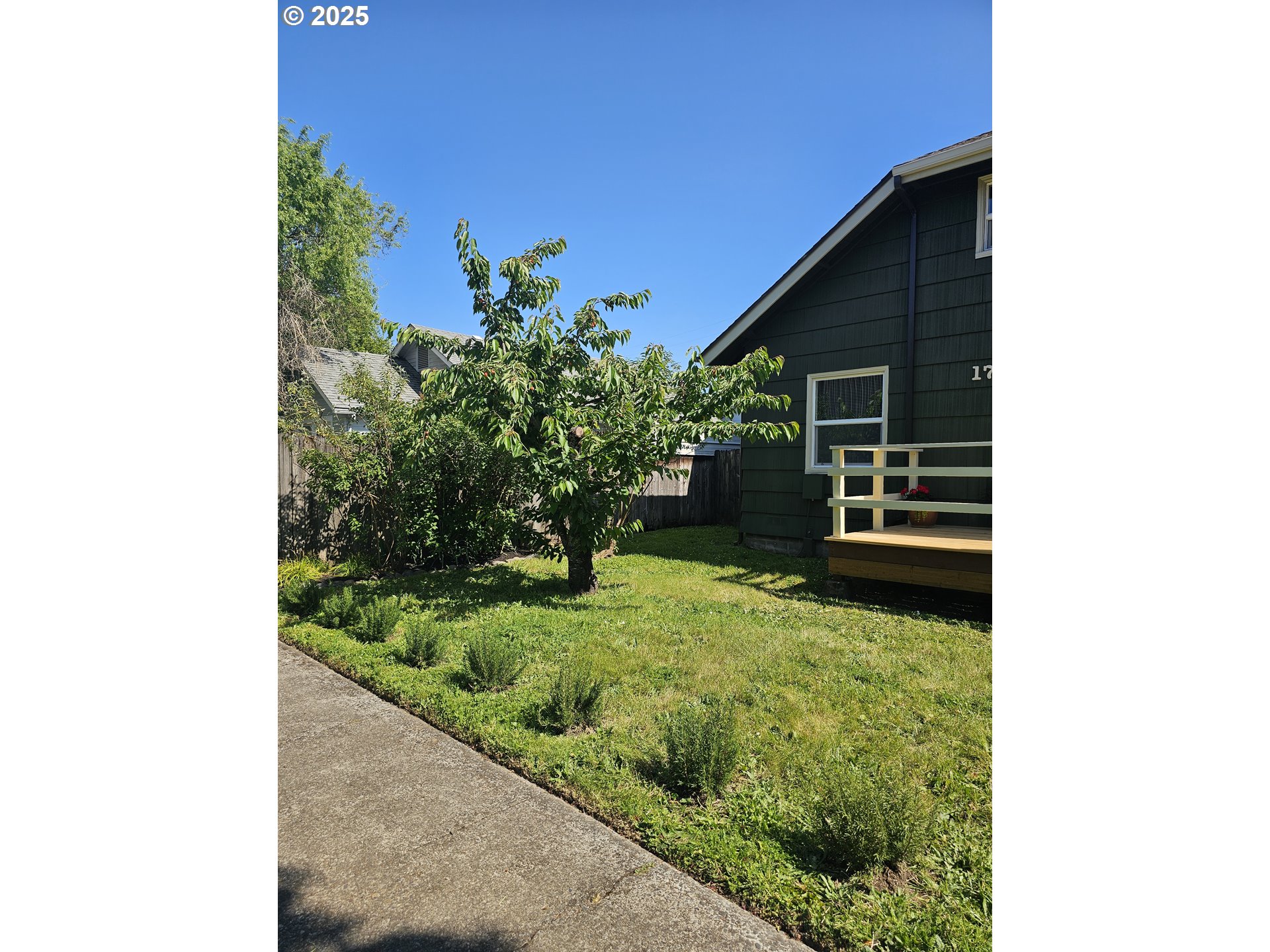 1760 West Broadway Eugene, OR 97402 - Photo 3 of 40 a backyard of a house with plants and tree