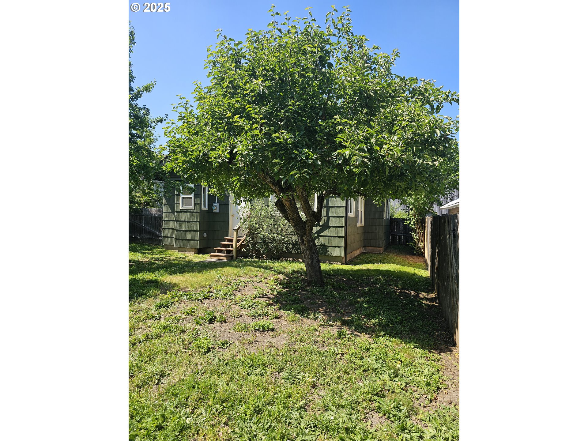 1760 West Broadway Eugene, OR 97402 - Photo 40 of 40 a view of a yard with plants and a large tree