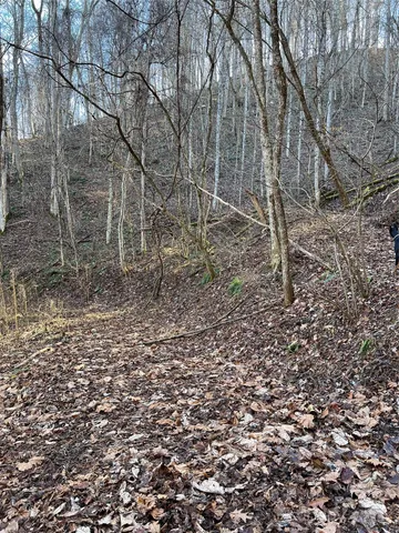 $475,000 | 12982 Us Highway, Burnsville, NC 28714