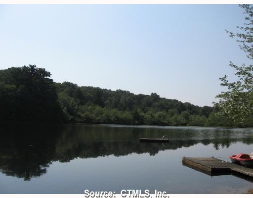 Waterfront/Dock/Pier. View of water with the dock and the raft.