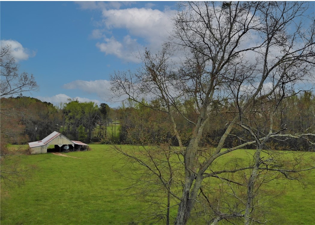 234 Bronson Ridge Anderson, SC 29621 - Photo 11 of 45 View from Backyard