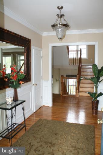 42 Winning Colors Road Stafford, VA 22556 - Photo 20 of 28 Interior (General)