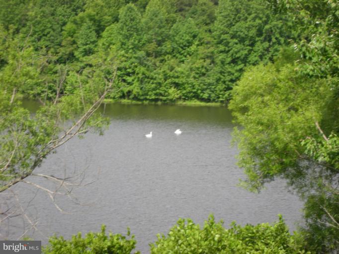 42 Winning Colors Road Stafford, VA 22556 - Photo 28 of 28 swans