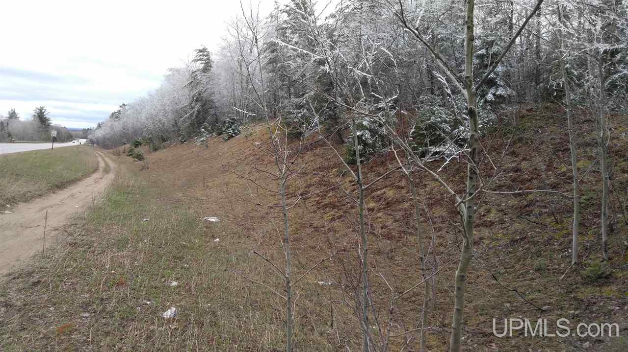 73-acres Co Rd 480 Marquette, MI 49855 - Photo 2 of 18