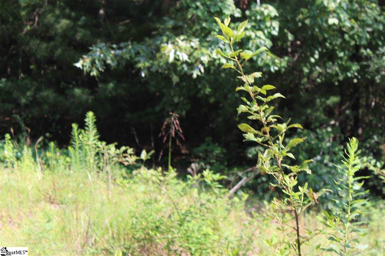391 Garren Road Easley, SC 29640 - Photo 13 of 13