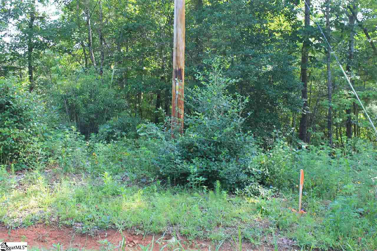 391 Garren Road Easley, SC 29640 - Photo 4 of 13