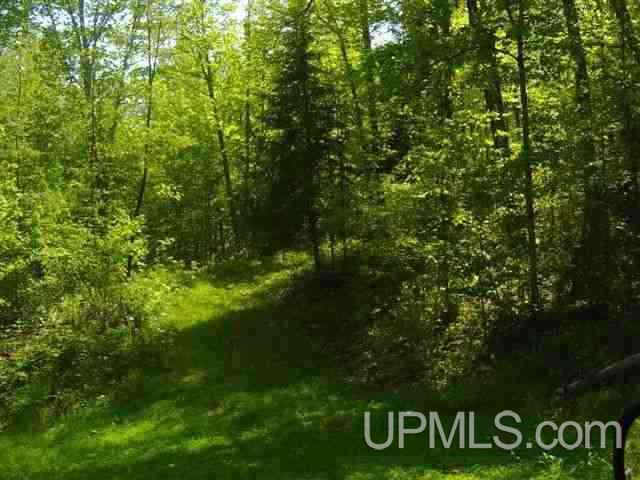 Tbd Menge Creek Road Lanse, MI 49908 - Photo 6 of 9