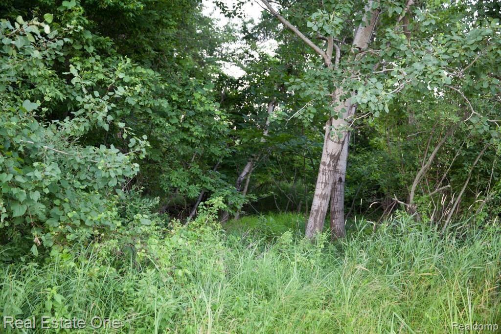 0 Edgewood Road Ortonville, MI 48462 - Photo 11 of 20