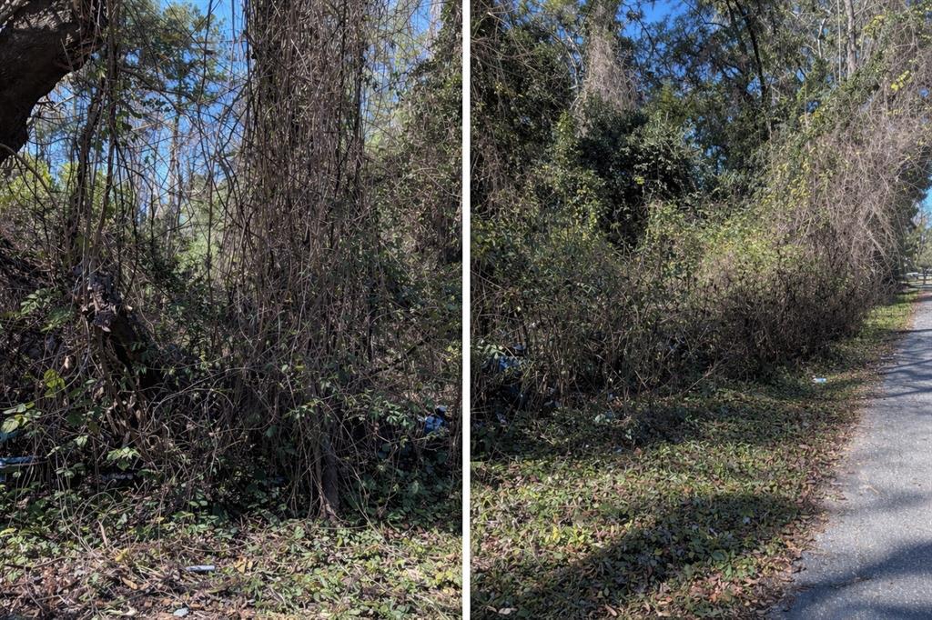 0 Northwest 134th Terrace Alachua, FL 32615 - Photo 4 of 5 a view of a door