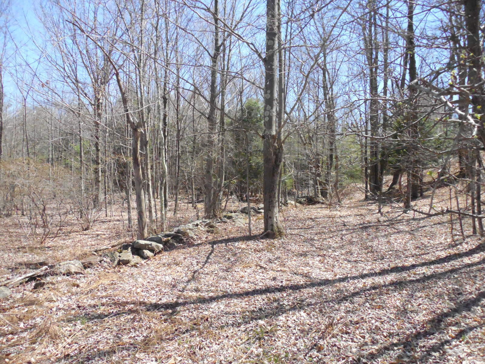 Burns Road Waymart, PA 18472 - Photo 3 of 7
