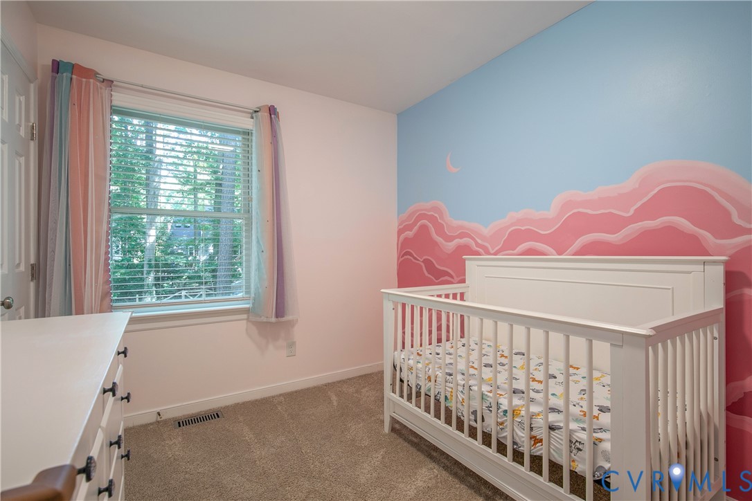 14712 Mill Spring Drive Midlothian, VA 23112 - Photo 30 of 49