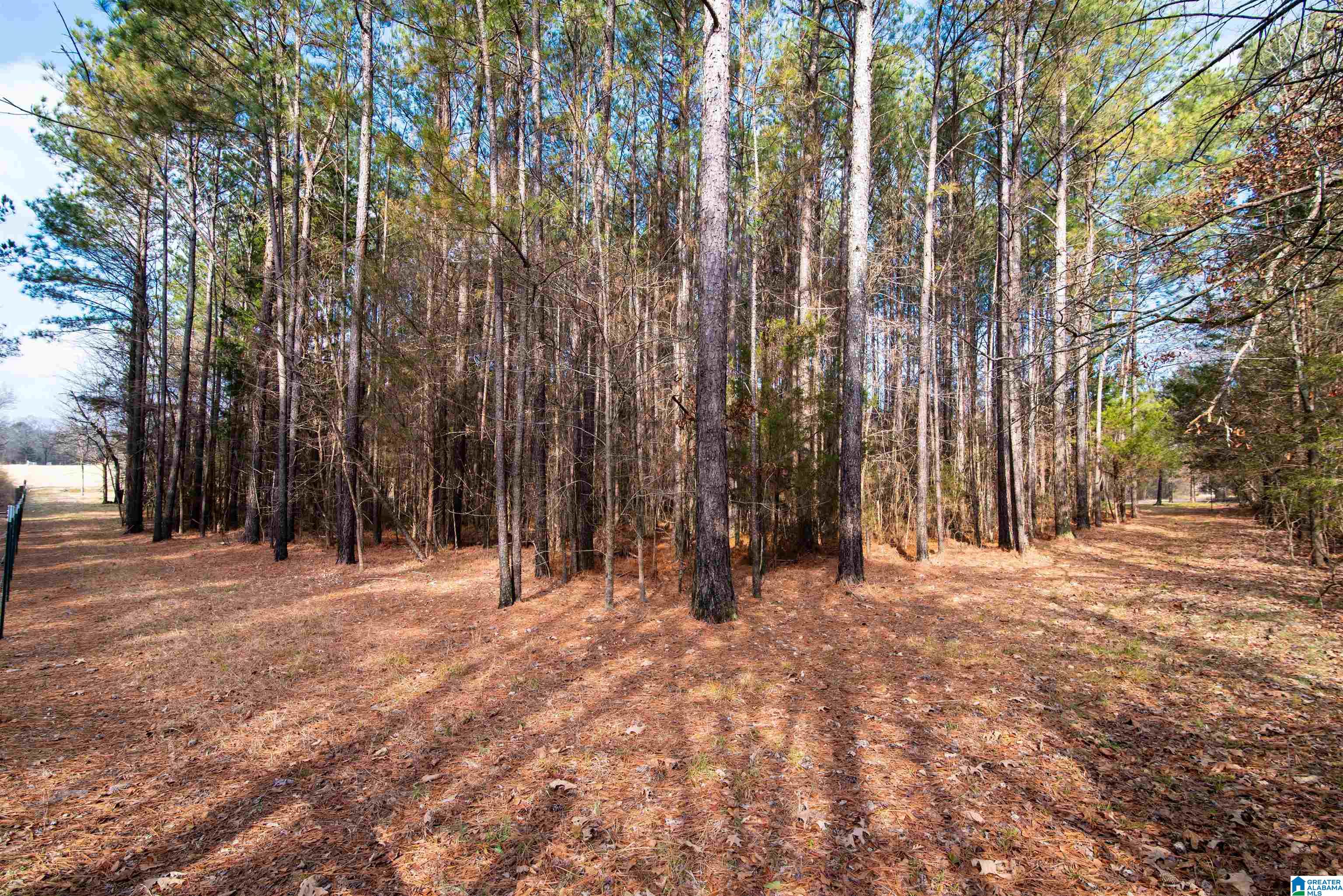 0 Day Drive, Unit 10 Somerville, AL 35670 - Photo 11 of 16